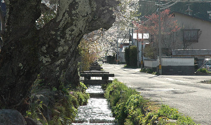せせらぎの里〜前の川〜春