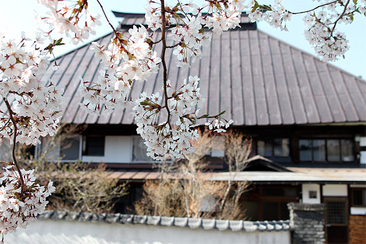 外観〜春の風景、桜並木