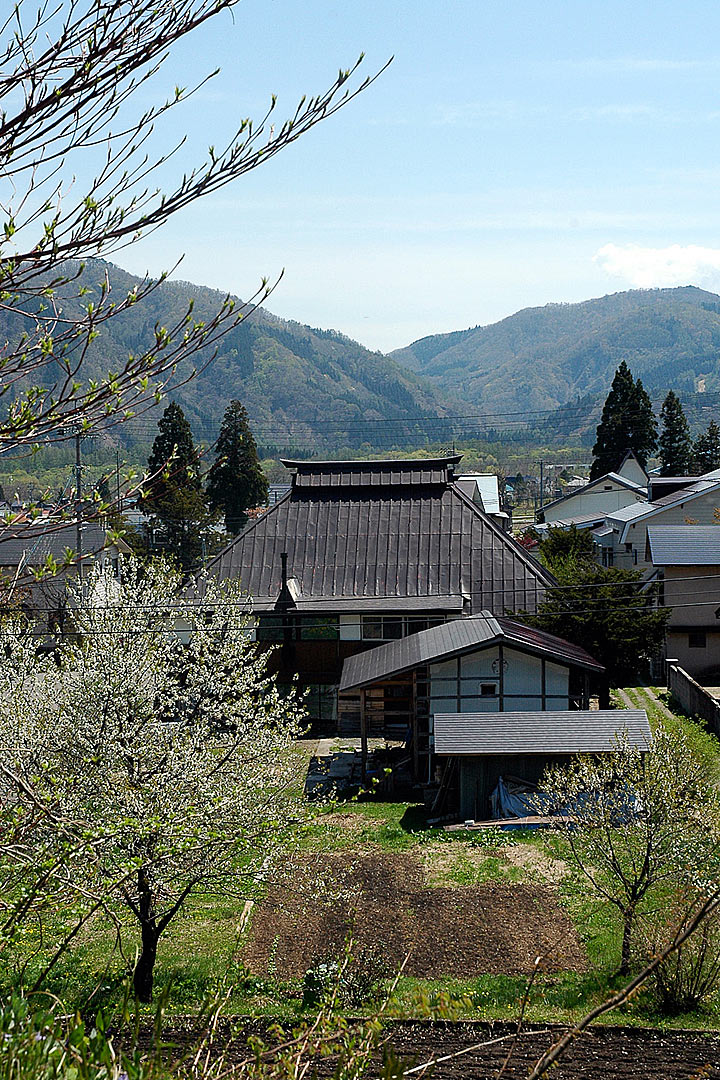 裏の畑（庭）〜春